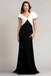 A-line V-neck Floor Length Pleated Back Zipper Natural Waistline Puff Sleeves Sleeves Dress