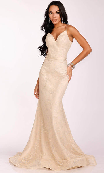 V-neck Embroidered Open-Back Mermaid Spaghetti Strap Natural Waistline Prom Dress with a Brush/Sweep Train