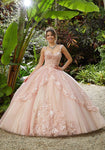 Basque Waistline Sequined Lace-Up Fitted Applique Floral Print Sleeveless Tulle Sweetheart Quinceanera Dress with a Brush/Sweep Train