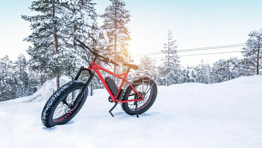 How to Choose the Best Electric Bike for Snow
