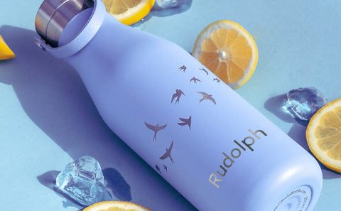 Ohelo insulated 500ml water bottle with blue swallows design and engraved with the name "Rudolph"