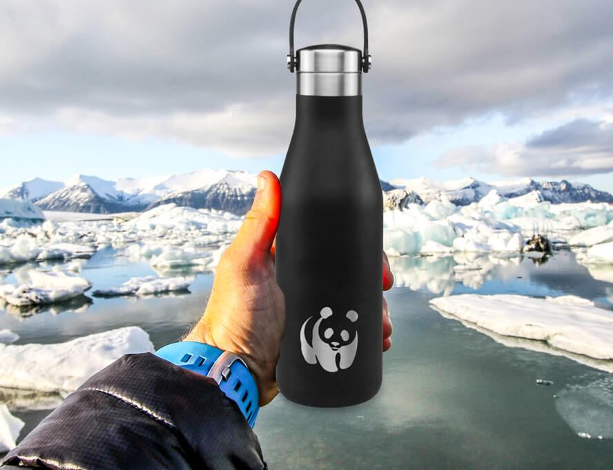 Should You Be Worried About Using Metal Water Bottles? - Ecococoon ™