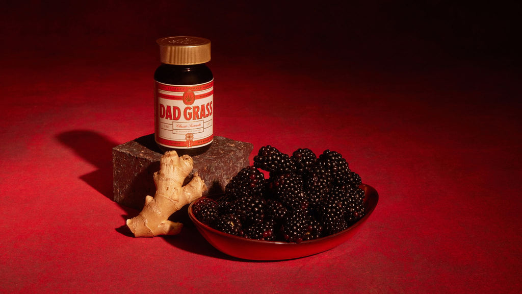 Dad Grass Classic Formula CBD Gummies - Berries in a plate & a piece of Ginger