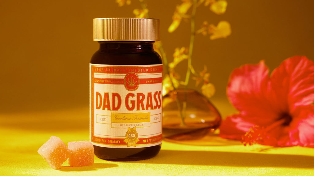 Dad Grass Goodtime Formula Gummies - CBD + CBG