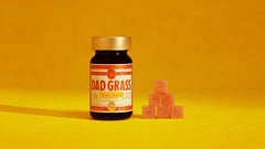 The Dad Grass Goodtime Formula is a high-potency gummy which helps you maintain quotidian focus too