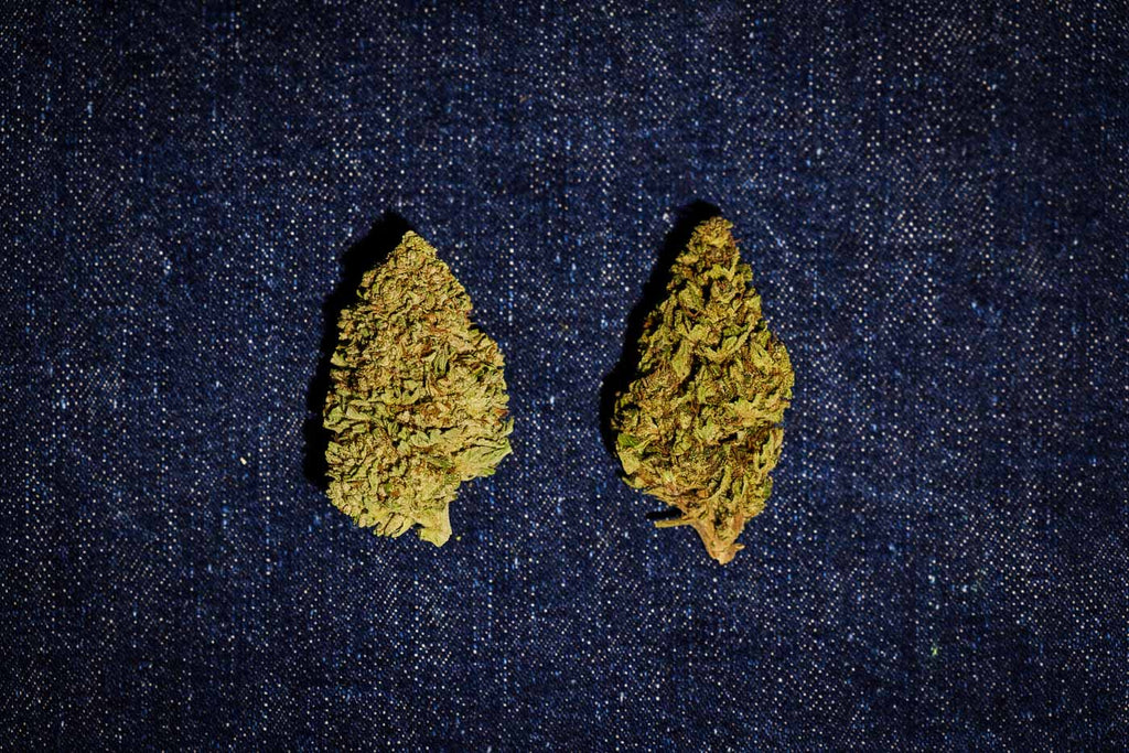 Dad Grass CBD Flower Vs Mom Grass CBG Flower - Comparison