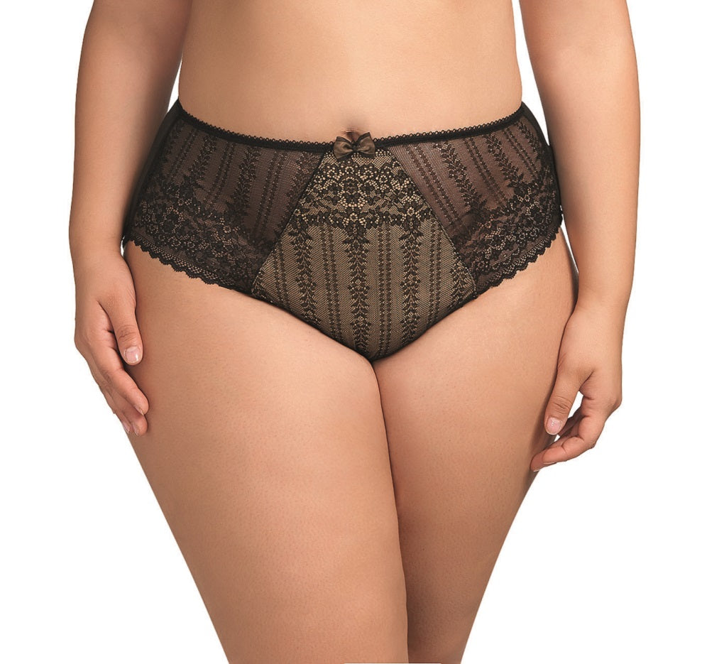 EL8035SCT Caitlyn Brief Panty Afl 25.00 – You and Me Lingerie Boutique