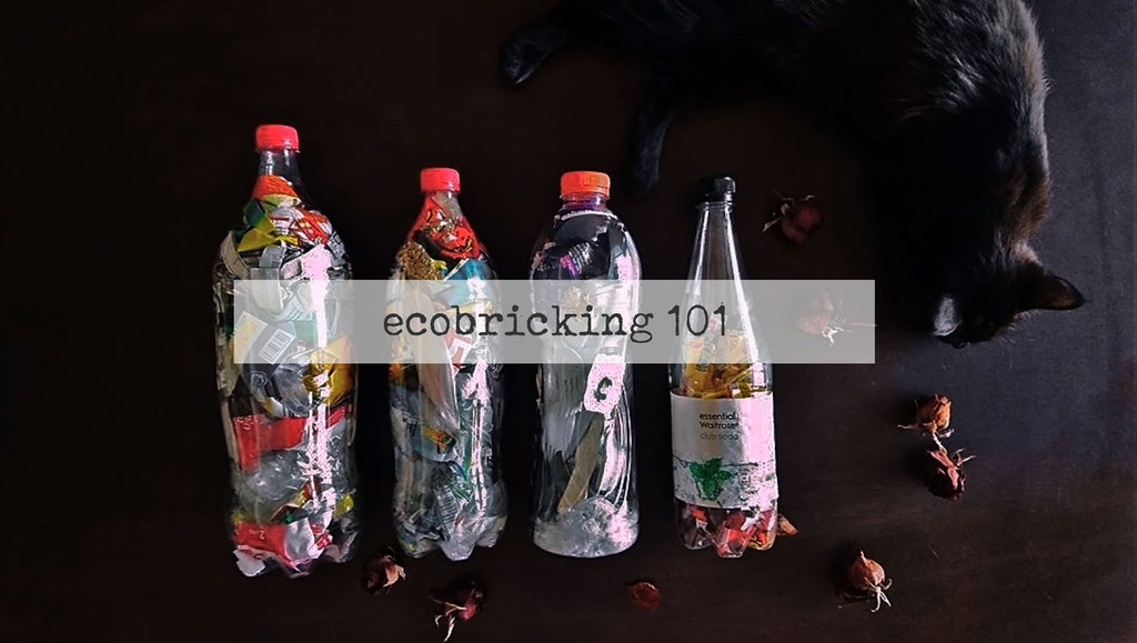 ecobricks on a table with sleeping cat