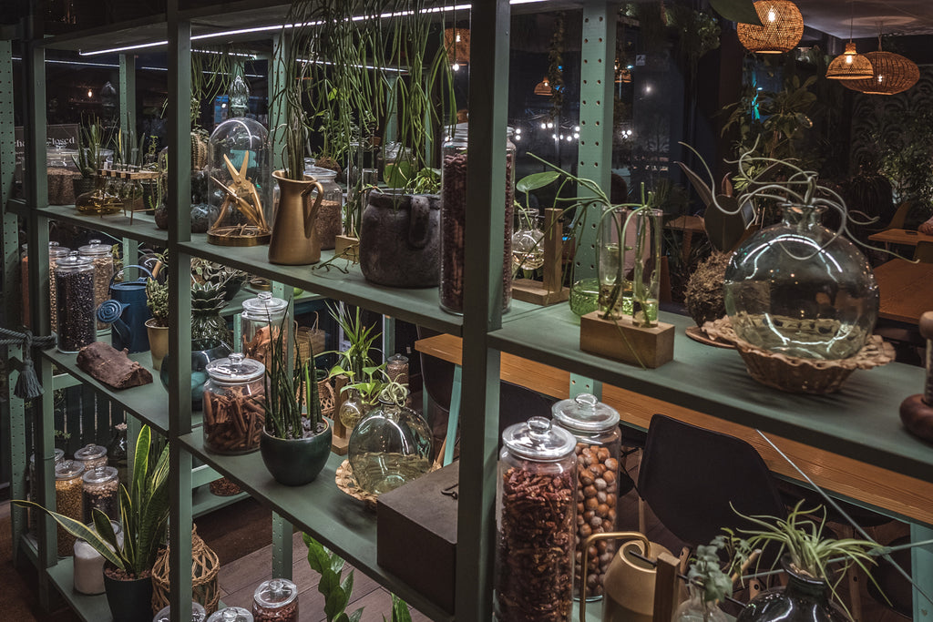 plants on boltless shelving