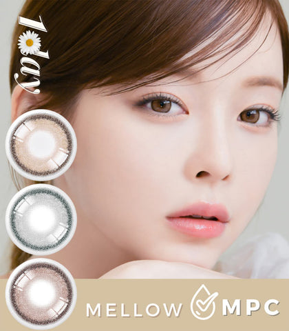 1DAY Mellow brown gray choco contacts -10 Lenses