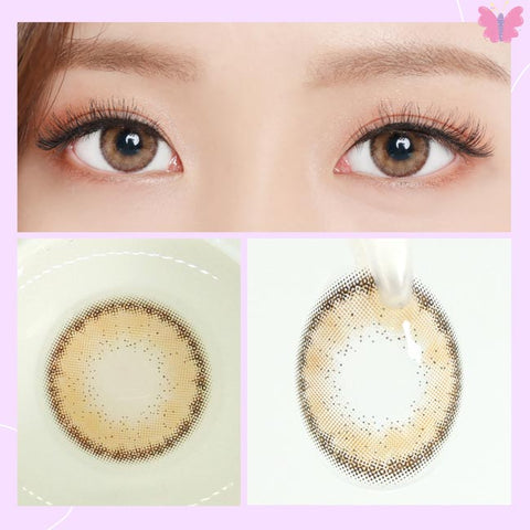 Aroma heimish brown contacts Circle Lens