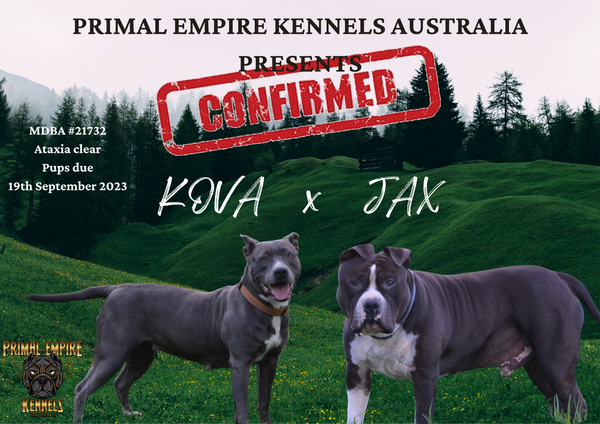 Empire Kennels
