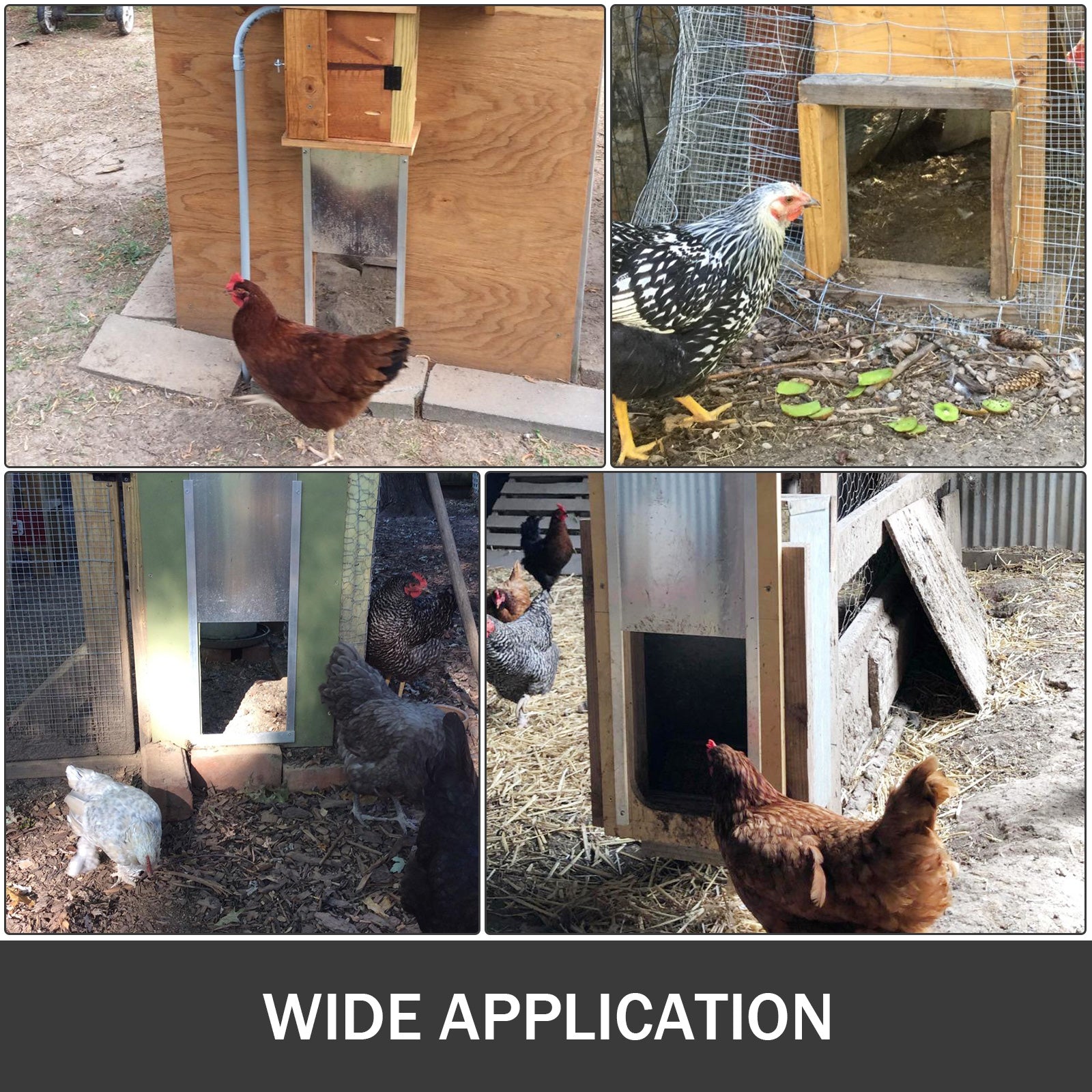 automatic chicken coop door kit