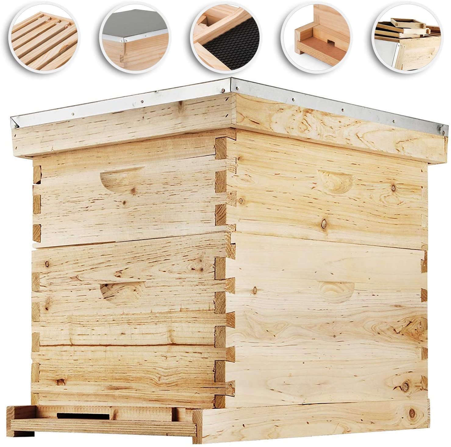 bee hive starter kit