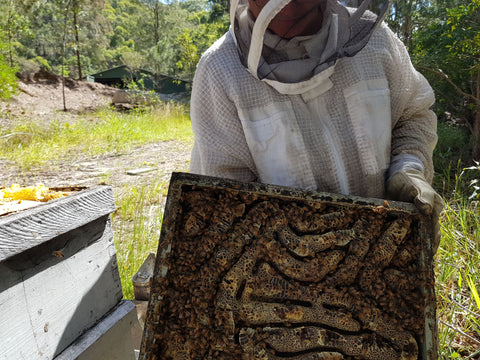 Beekeeper with raw honey from the hive