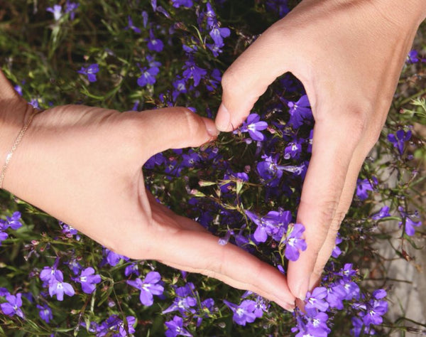 Hands forming heart shape above purple flowers