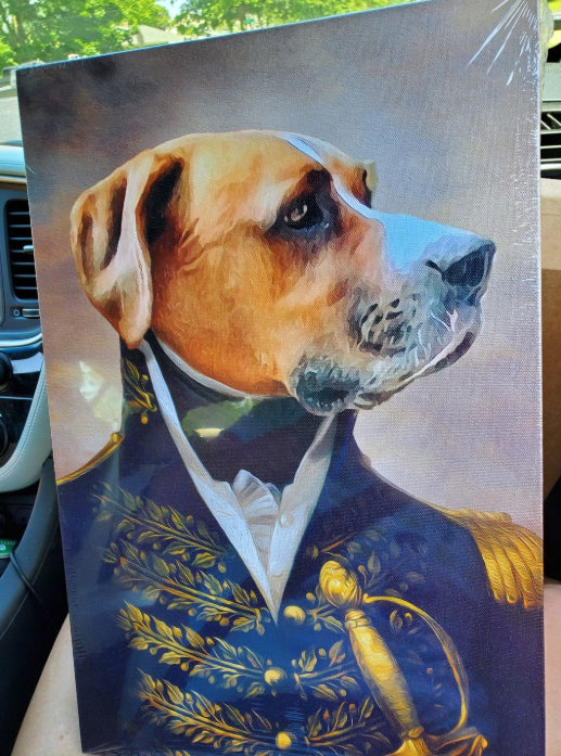 Admiral - Custom Pet Portraits