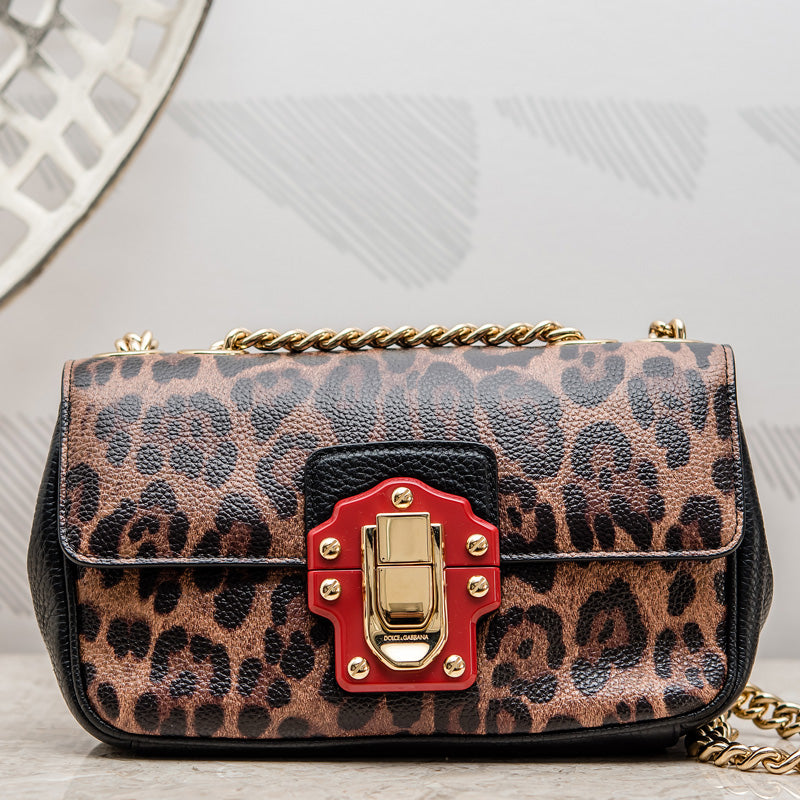 d&g leopard bag