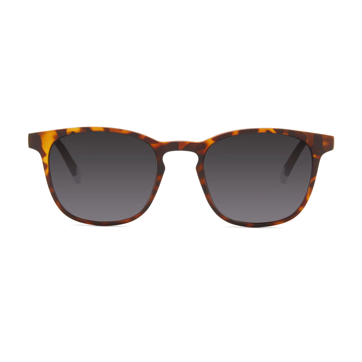 BARNER | Dalston | Sunglasses | Tortoise