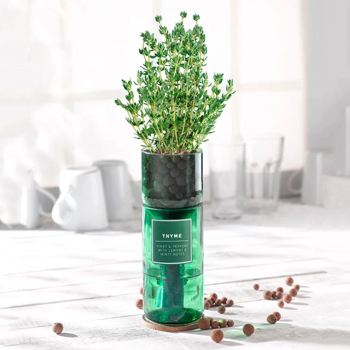 GGWW | Hydro-Herb Kit | Thyme