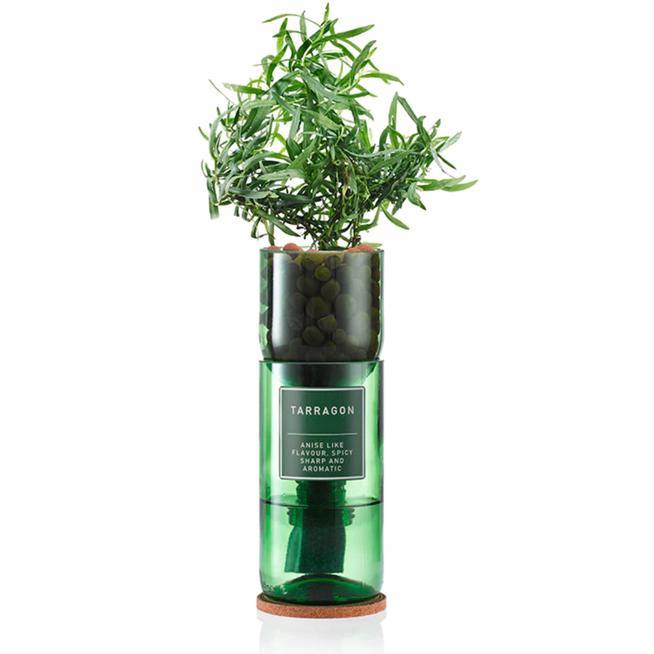 GGWW | Hydro-Herb Kit | Rosemary