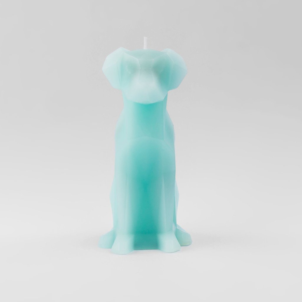 PYROPET | Voffi Dog Candle | Aqua