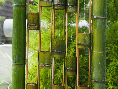 Bamboo Water Collector