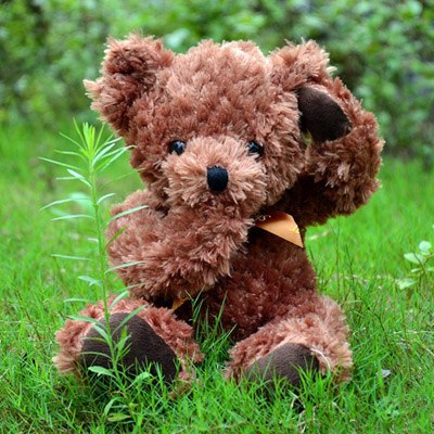 shy teddy bear