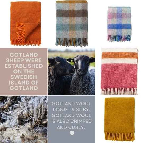 Gotland wool blankets