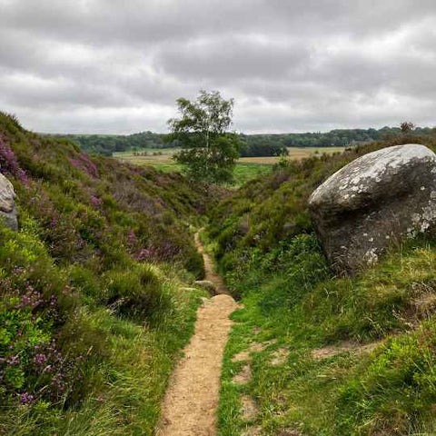 Longshaw Estate National Trust