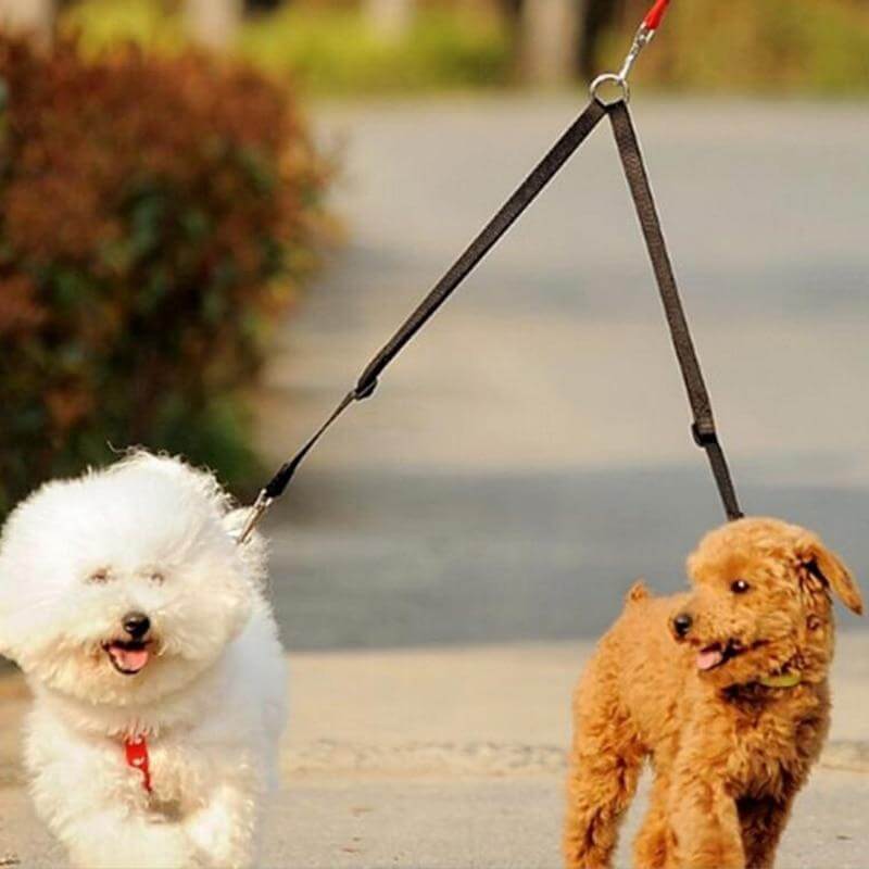 two way dog lead