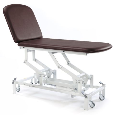 Seers - Medicare 2 Section Electric Couch with gas assisted backrest (RWD)