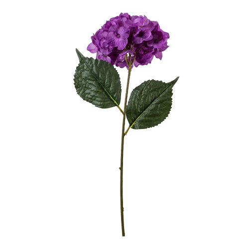 Hortensia Morada 78 cm — The Garden