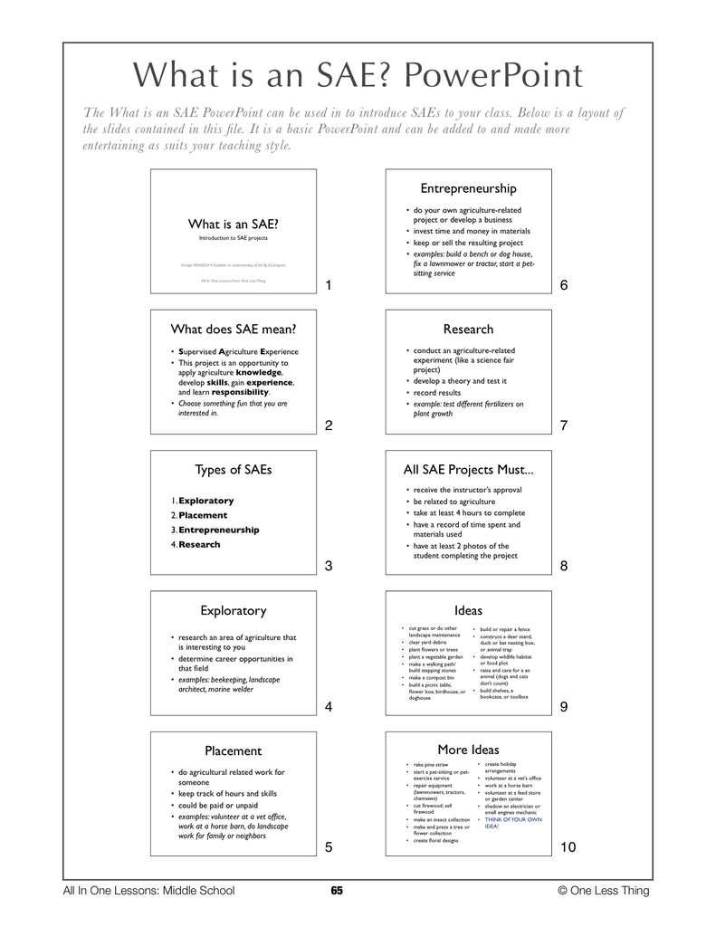 sae project presentation example