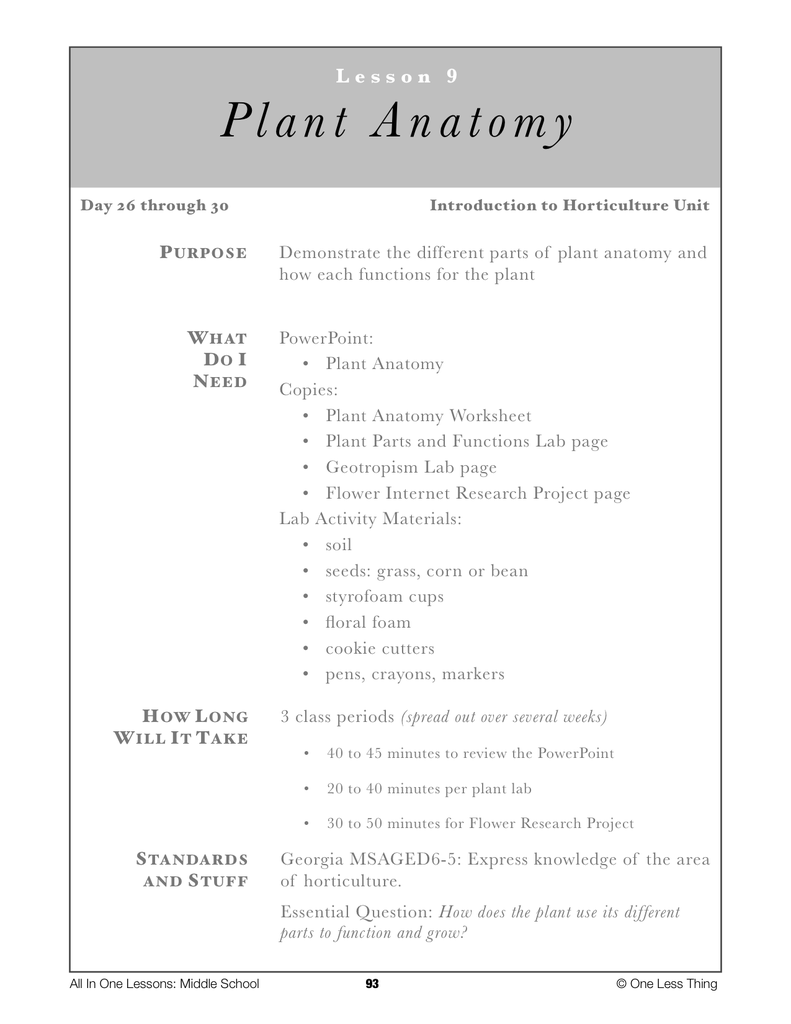 6 09 Plant Anatomy Lesson Plan Download One Less Thing