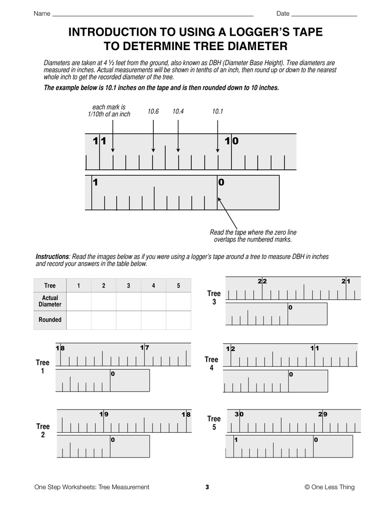 32 Reading A Tape Measure Worksheet Answers - Worksheet Project List