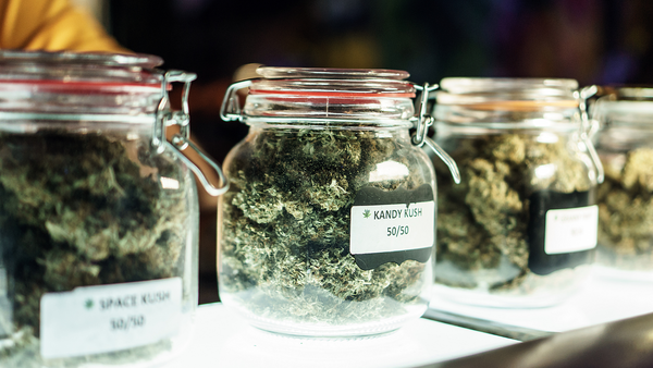 Cannabis in glass jars on shelf with strain labeled on the front
