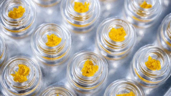 Display of cannabis concentrates in containers