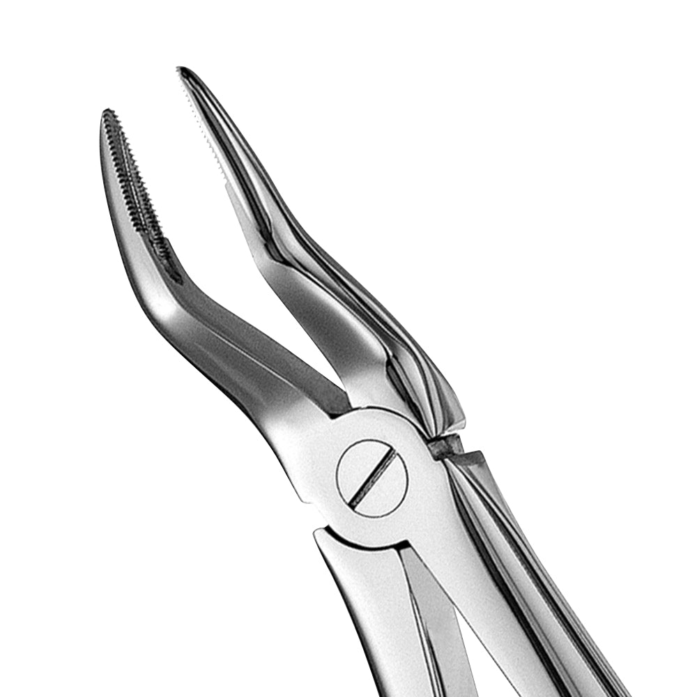 51 Upper Roots Serrated Extraction Forceps