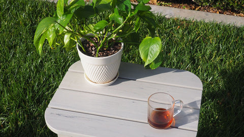 Great Mother's Day Gift Ideas: Outdoor Gardening Table