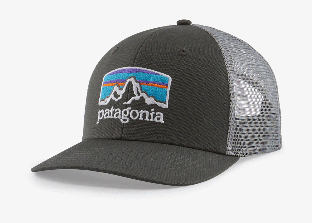 Patagonia P-6 LOGO - Casquette white w/light plume grey - Private
