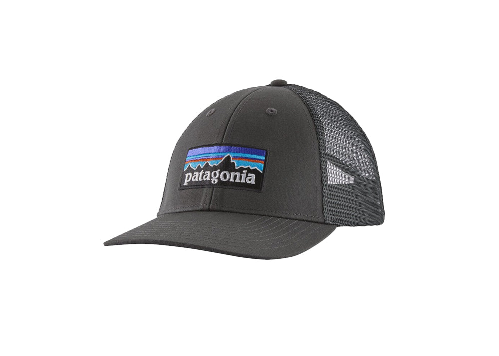 Patagonia Line Logo Ridge LoPro Trucker Hat