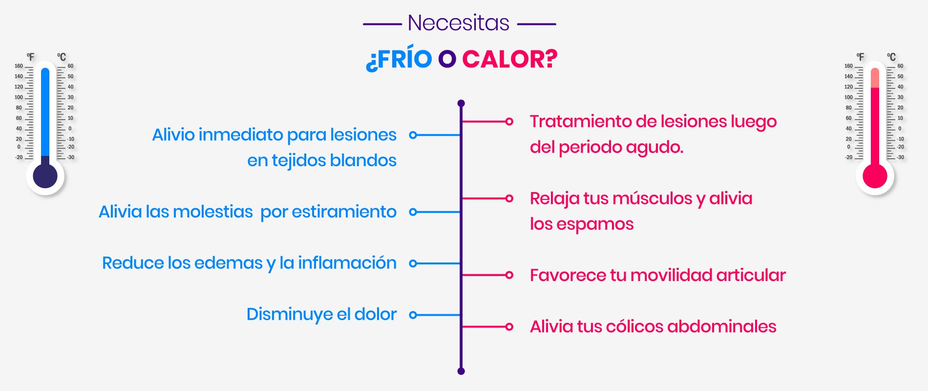 flexbone infographic