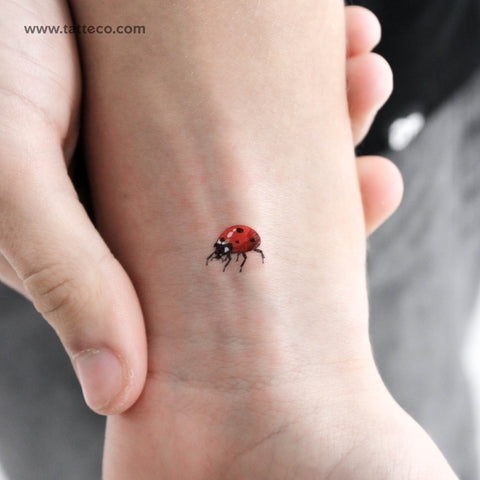 Top 163+ small ladybug tattoo super hot