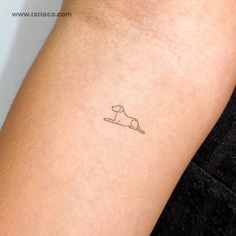 Dog Tattoos: Labrador fine outline tattoo on arm