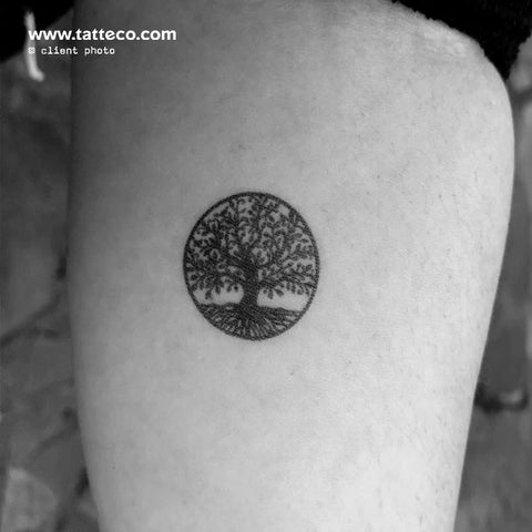 PowerLine Tattoo : Tattoos : Evan Olin : Cosmic lifecycle tattoo