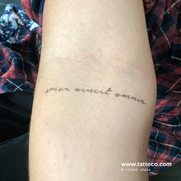 Amor Vincit Omnia Temporary Tattoo - Set of 3 – Tatteco