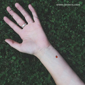 17 Ladybug Tattoo Design Ideas for Women  Moms Got the Stuff