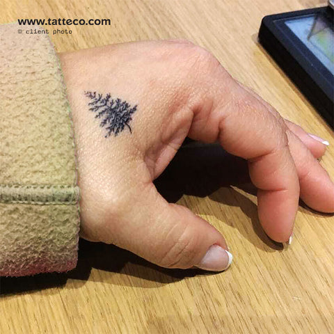 Pine Tree Tattoo Meaning, Designs & Ideas