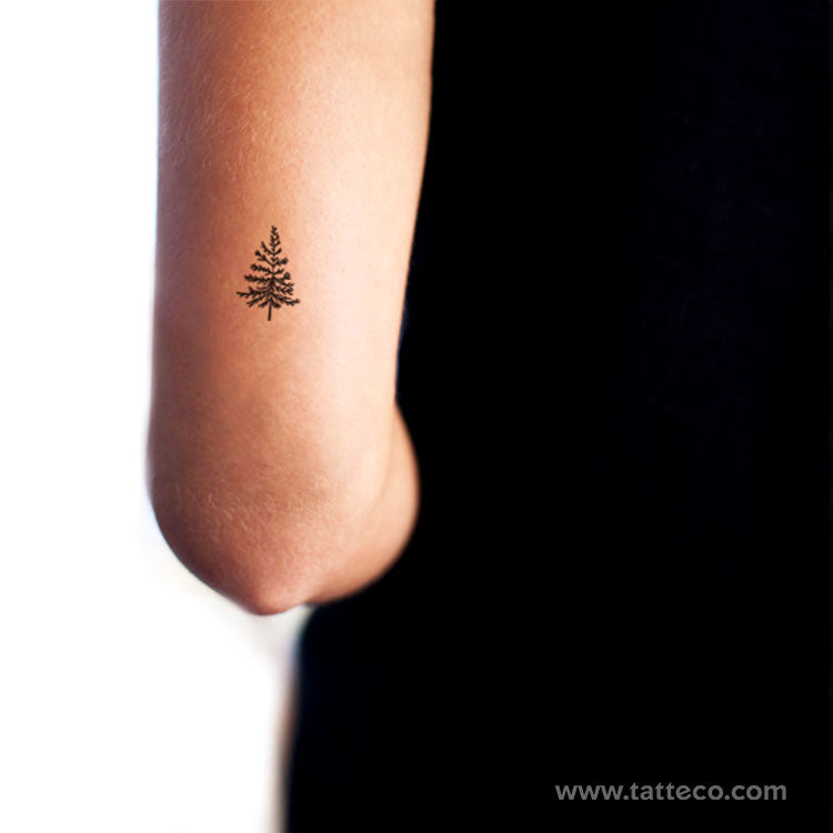 Small Pine Tree Temporary Tattoo - Set of 3 – Tatteco